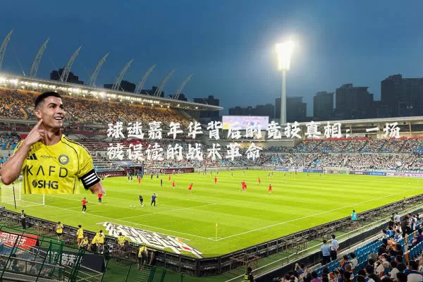 球迷嘉年华背后的竞技真相:一场被误读的战术革命